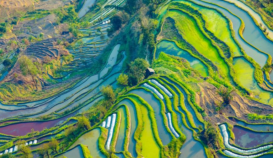 宝妈必备神器：浮梁县产品视频拍摄轻松育儿好帮手