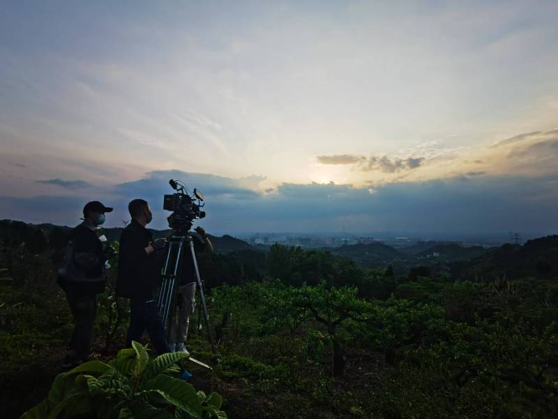 聚焦浮梁县产品宣传视频拍摄公司，用专业实力铸就品牌传播传奇